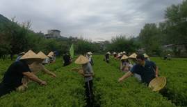 Cache_16f7a313b7b3dd27 Cache_16f7a313b7b3dd27